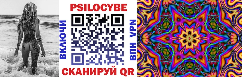 Купить где Тула Псилоцибиновые грибы Psilocybine cubensis